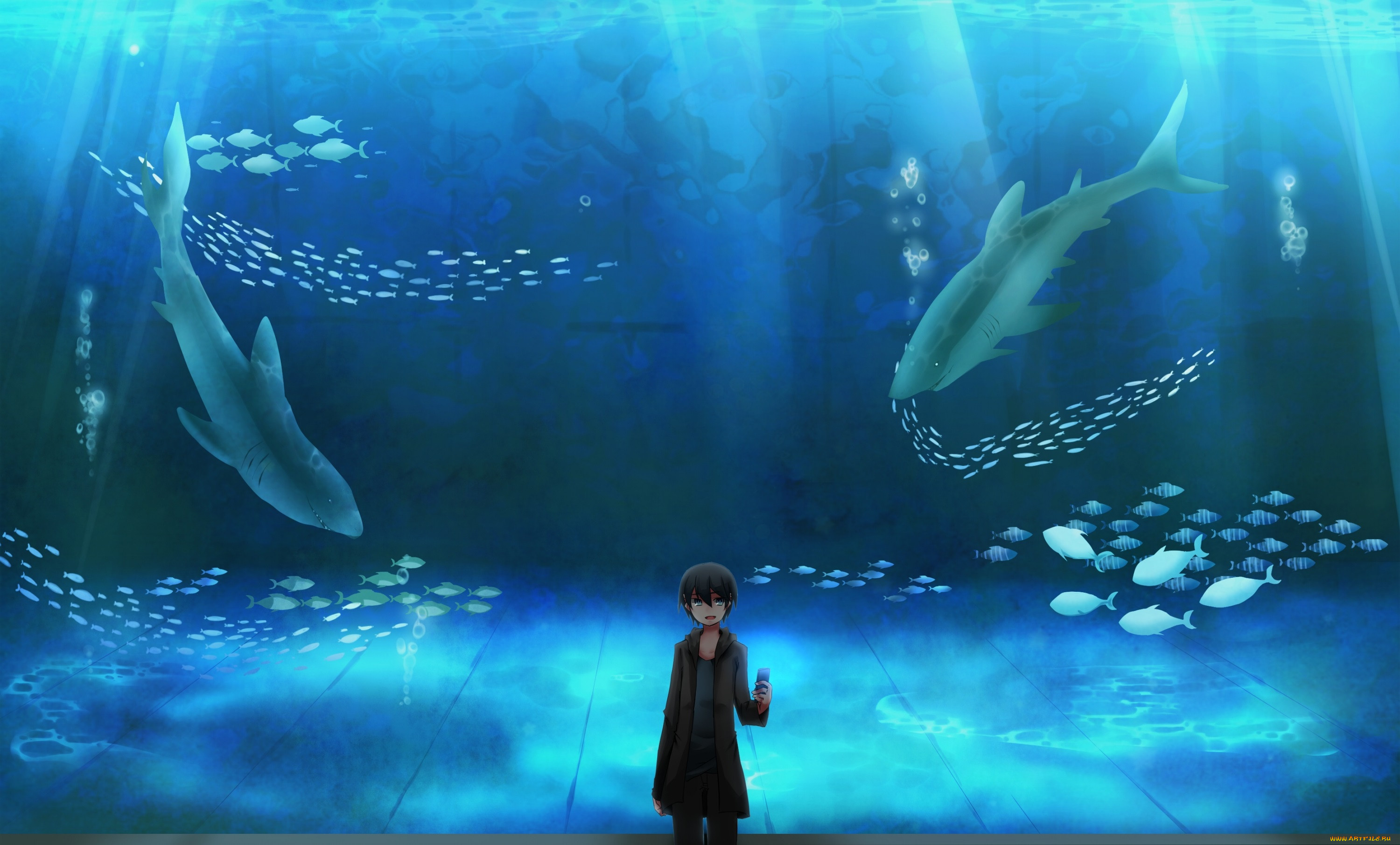 , durarara, , 
